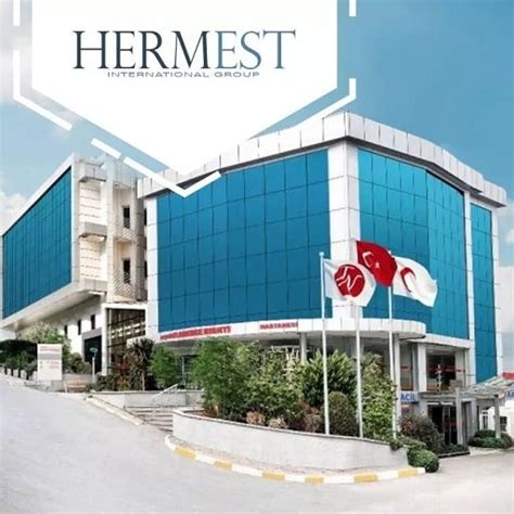 hermest hair clinic ekşi|hermes hair transplant istanbul.